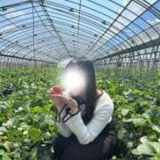 ヒメ日記 2025/06/19 03:15 投稿 うい CECIL