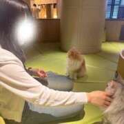 ヒメ日記 2025/06/19 15:39 投稿 うい CECIL