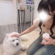 ヒメ日記 2025/07/04 18:54 投稿 うい CECIL