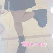 ヒメ日記 2025/06/06 12:49 投稿 りお【高山出発】 Cat's高山店