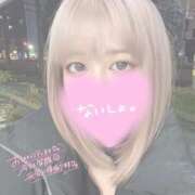 ヒメ日記 2025/06/08 09:29 投稿 りお【高山出発】 Cat's高山店