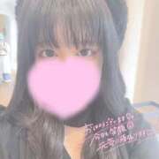 ヒメ日記 2026/01/24 07:59 投稿 りお【高山出発】 Cat's高山店