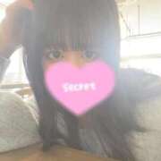 ヒメ日記 2026/03/04 07:29 投稿 りお【高山出発】 高山キャッツ