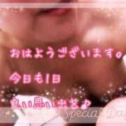 ヒメ日記 2025/05/08 08:15 投稿 千歌(ちか) エッチな熟女(広島)