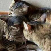 ヒメ日記 2025/05/10 11:28 投稿 千歌(ちか) エッチな熟女(広島)