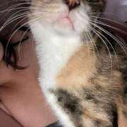 ヒメ日記 2025/05/14 15:00 投稿 千歌(ちか) エッチな熟女(広島)