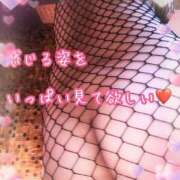 ヒメ日記 2025/05/27 10:50 投稿 千歌(ちか) エッチな熟女(広島)