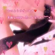 ヒメ日記 2025/07/05 08:11 投稿 千歌(ちか) エッチな熟女(広島)