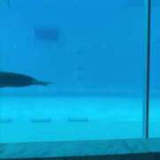 ヒメ日記 2025/07/29 15:50 投稿 千歌(ちか) エッチな熟女(広島)