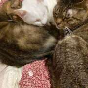 ヒメ日記 2025/08/01 19:34 投稿 千歌(ちか) エッチな熟女(広島)