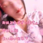 ヒメ日記 2025/08/14 08:20 投稿 千歌(ちか) エッチな熟女(広島)