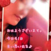 ヒメ日記 2025/08/25 08:20 投稿 千歌(ちか) エッチな熟女(広島)