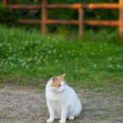 ヒメ日記 2025/08/29 10:05 投稿 千歌(ちか) エッチな熟女(広島)