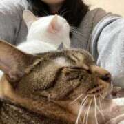 ヒメ日記 2025/09/30 12:35 投稿 千歌(ちか) エッチな熟女(広島)