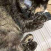 ヒメ日記 2025/10/08 16:10 投稿 千歌(ちか) エッチな熟女(広島)