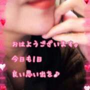 ヒメ日記 2025/12/13 08:20 投稿 千歌(ちか) エッチな熟女(広島)