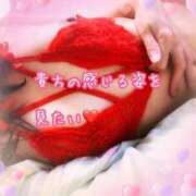 ヒメ日記 2025/12/28 22:20 投稿 千歌(ちか) エッチな熟女(広島)