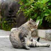 ヒメ日記 2026/01/05 15:32 投稿 千歌(ちか) エッチな熟女(広島)