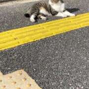 ヒメ日記 2026/01/25 13:20 投稿 千歌(ちか) エッチな熟女(広島)