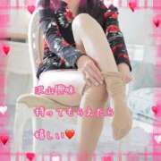 ヒメ日記 2026/02/04 12:30 投稿 千歌(ちか) エッチな熟女(広島)