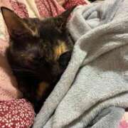 ヒメ日記 2026/03/02 18:50 投稿 千歌(ちか) エッチな熟女(広島)