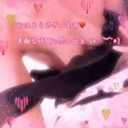 ヒメ日記 2026/03/29 08:20 投稿 千歌(ちか) エッチな熟女(広島)