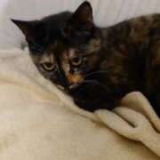 ヒメ日記 2026/03/30 09:20 投稿 千歌(ちか) エッチな熟女(広島)