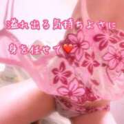 ヒメ日記 2026/04/26 11:50 投稿 千歌(ちか) エッチな熟女(広島)