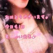 ヒメ日記 2026/08/29 08:20 投稿 千歌(ちか) エッチな熟女(広島)