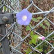 みちる おはようございます😊 熟女家 京橋店