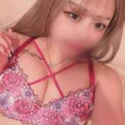 ヒメ日記 2025/05/17 15:04 投稿 あんず(人懐っこさピカイチ☆) 学園天国