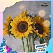 ヒメ日記 2025/07/31 08:30 投稿 秋月唯 五十路マダムエクスプレス船橋店(カサブランカグループ)