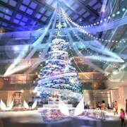 ヒメ日記 2025/12/19 18:00 投稿 秋月唯 五十路マダムエクスプレス船橋店(カサブランカグループ)