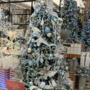 ヒメ日記 2025/12/25 08:16 投稿 秋月唯 五十路マダムエクスプレス船橋店(カサブランカグループ)