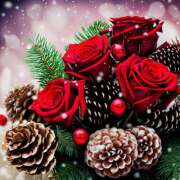 ヒメ日記 2026/01/17 09:02 投稿 秋月唯 五十路マダムエクスプレス船橋店(カサブランカグループ)