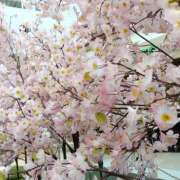 ヒメ日記 2026/02/21 11:00 投稿 秋月唯 五十路マダムエクスプレス船橋店(カサブランカグループ)