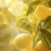 ヒメ日記 2026/03/05 07:44 投稿 秋月唯 五十路マダムエクスプレス船橋店(カサブランカグループ)