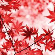 ヒメ日記 2026/10/05 08:21 投稿 秋月唯 五十路マダムエクスプレス船橋店(カサブランカグループ)