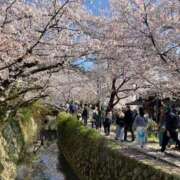 ヒメ日記 2026/04/03 14:28 投稿 彩樹 色香 名古屋貴楼館