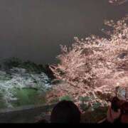 ヒメ日記 2025/05/12 14:18 投稿 小春 出会い系人妻ネットワーク 上野〜大塚編