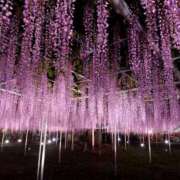 ヒメ日記 2025/05/30 14:10 投稿 小春 出会い系人妻ネットワーク 上野〜大塚編