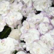 ヒメ日記 2025/06/03 08:46 投稿 小春 出会い系人妻ネットワーク 上野〜大塚編