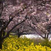 小春 春のお届け🌸 出会い系人妻ネットワーク 上野〜大塚編