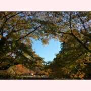 ヒメ日記 2025/06/08 20:01 投稿 ふゆき 熟女家 十三店