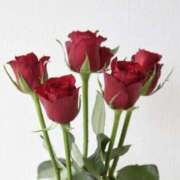 ヒメ日記 2025/04/12 16:34 投稿 くみ 優しい奥様 札幌すすきの店