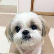 ヒメ日記 2025/04/16 15:44 投稿 くみ 優しい奥様 札幌すすきの店