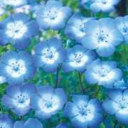 ヒメ日記 2025/04/27 09:44 投稿 くみ 優しい奥様 札幌すすきの店