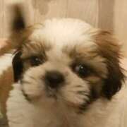 ヒメ日記 2025/05/06 14:44 投稿 くみ 優しい奥様 札幌すすきの店