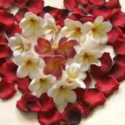 ヒメ日記 2025/05/20 19:54 投稿 くみ 優しい奥様 札幌すすきの店