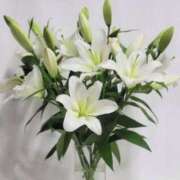 ヒメ日記 2025/05/23 12:54 投稿 くみ 優しい奥様 札幌すすきの店